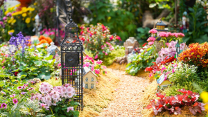 The Garden